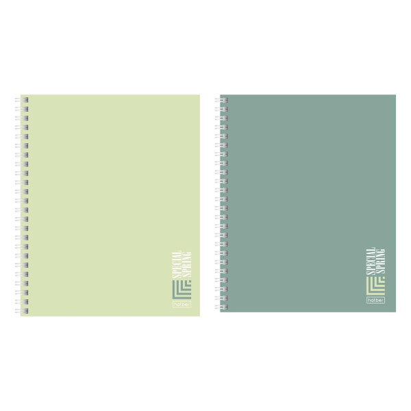 Тетрадь гребень линия 80л Special Spring, софт-тач