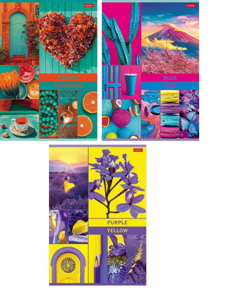 Тетрадь А4  48л В мире грез