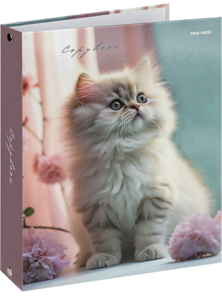 Тетрадь блок/кольцах  80л Светлый котенок и цветы
