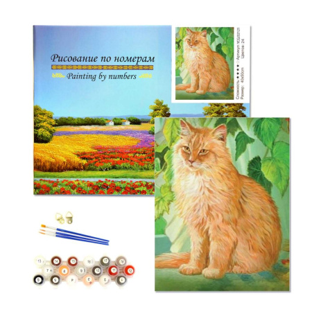 Картина по номерам 40*50 см Рыжий кот v.1