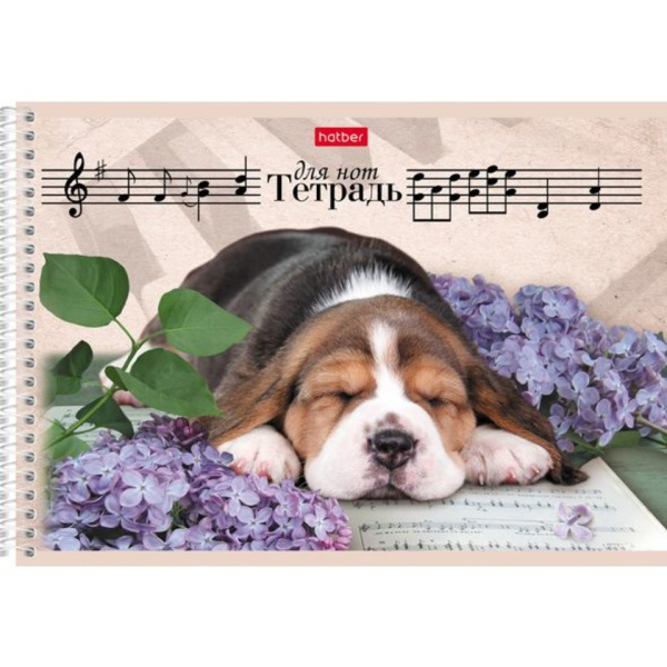 Нотная тетрадь гребень А5 24л Щенок