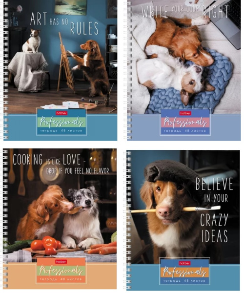 Тетрадь гребень  48л Профессионалы, 4 диз