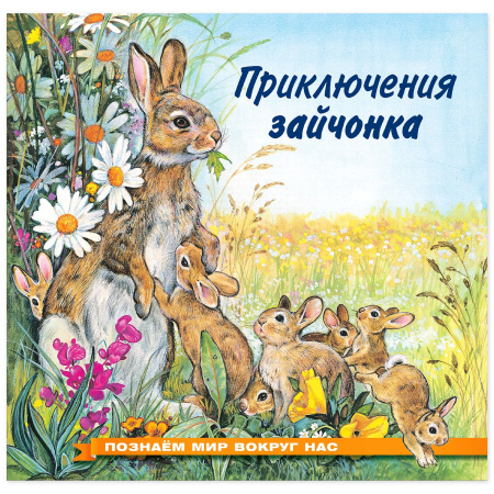 Книжка А5 Приключения зайчонка