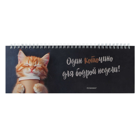 Планинг/гребень Котёнонк с кофе 64л