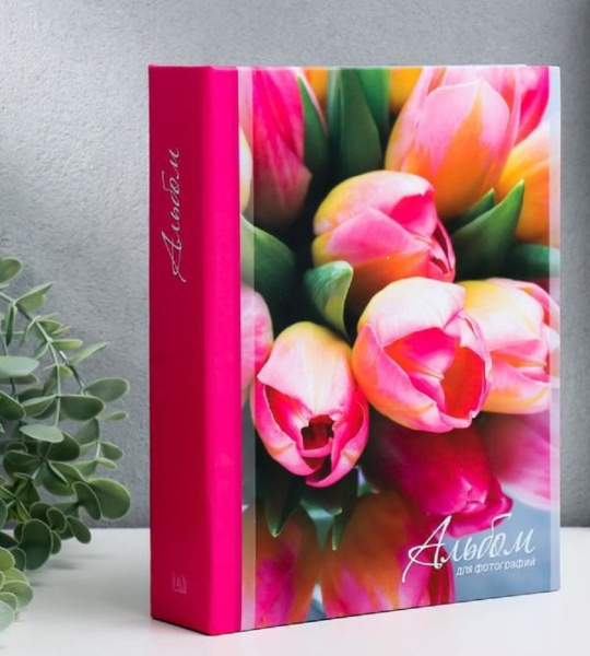 Фотоальбом 100 фото Тюльпаны
