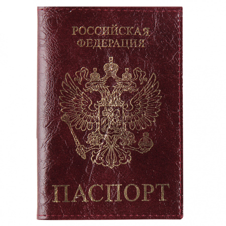 Обложка/паспорта "Символика" бордо, кожа, тисн. фольгой