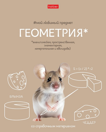 Тетрадь темат. 48л Мой любимый предмет Геометрия, софт-тач