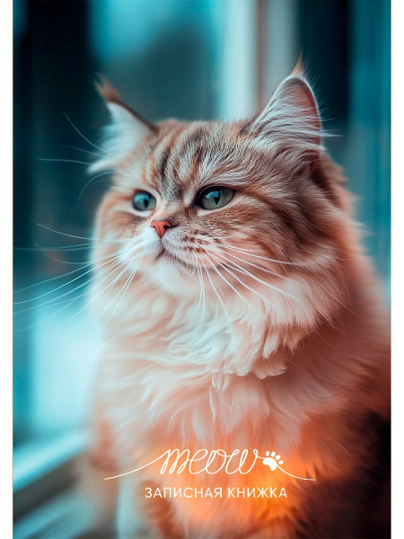 Кн.записная А6 7Бц  48л Фото котика-1