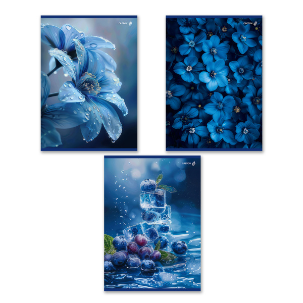 Тетрадь А4  80л Сквозь синий туман