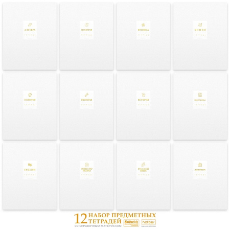 Тетрадь темат. комплект 12предм. 48л Белое золото, 3D фольга