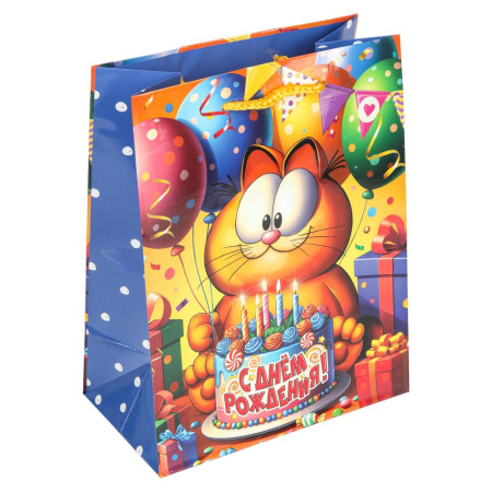 Пакет подарочный 20*25 Рыжий Кот
