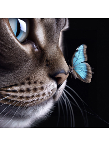 Алмазная мозаика частичная 20*20см Кот и бабочка