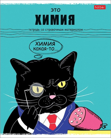 Тетрадь темат. 48л Черный кот Химия АКЦИЯ