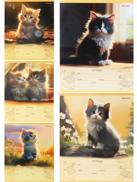 Тетрадь 12л клетка Котики в лучах солнца