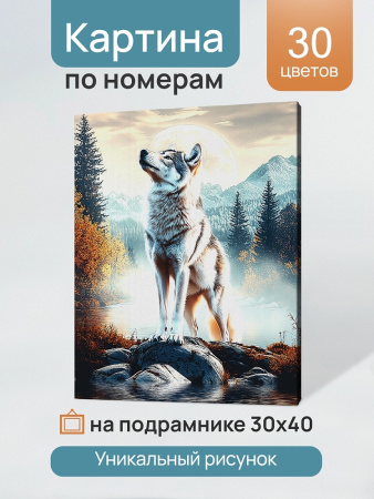 Картина по номерам 30*40 см Одинокий серый волк