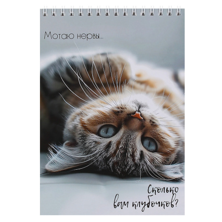 Скетчбук/гребень А5  30л Кошачья жизнь  180гр