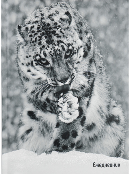 Ежедневник А5 7Бц Дикий зверь-2, 128л, глянц. пена