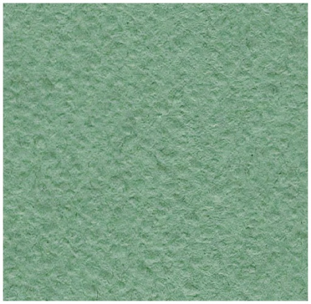 Ватман /пастели А2 200гр/м Зеленая  50л.