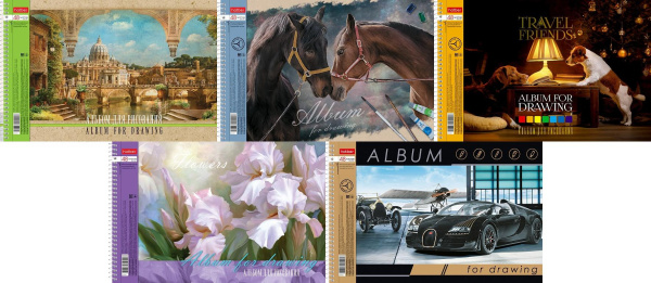 Альбом/гребень 48л Ассорти