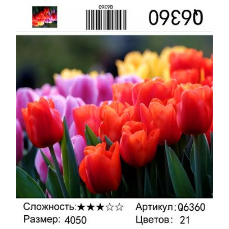 Картина по номерам 40*50 см Тюльпаны v.1