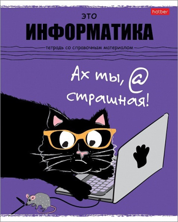 Тетрадь темат. 48л Черный кот Информатика АКЦИЯ