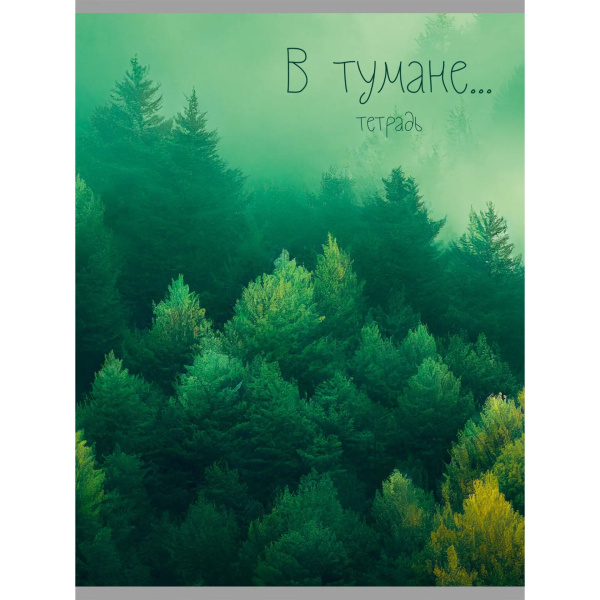 Тетрадь А4  48л Зеленая туманность, 2-й блок