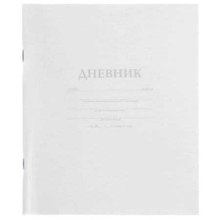 Дневник шк. Пласт/у. Белый