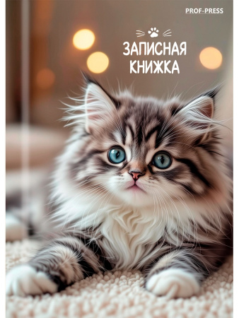 Кн.записная А7 7Бц 64л Милые котята-6