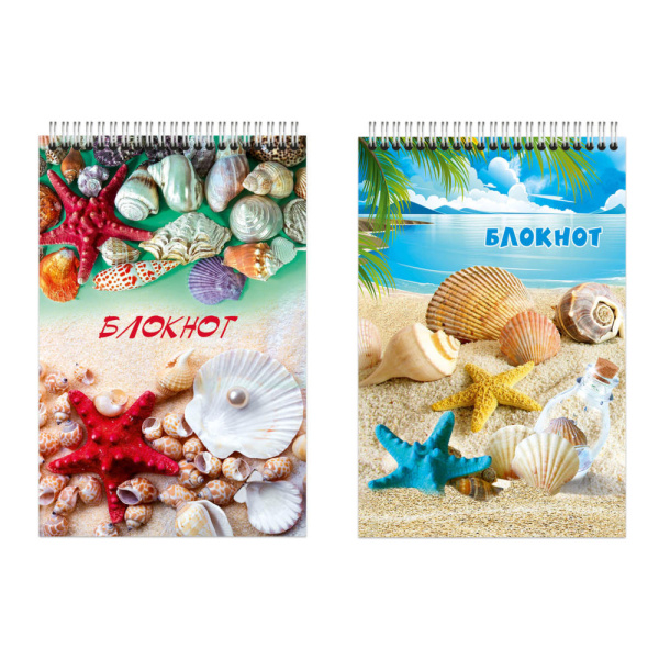 Блокнот/гребень  А6  48л Ракушка