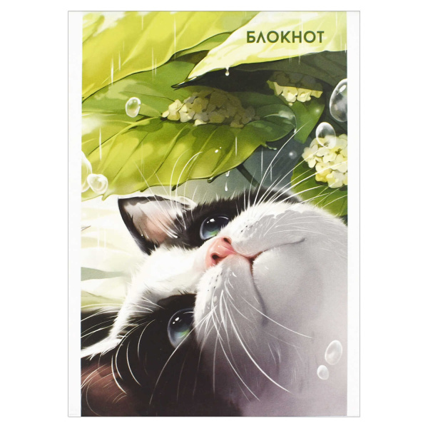 Блокнот А6  40л Утренний кот