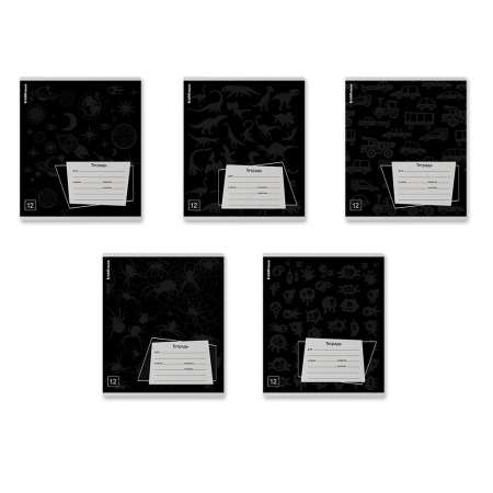 Тетрадь 12л линия ЕК Black Pattern