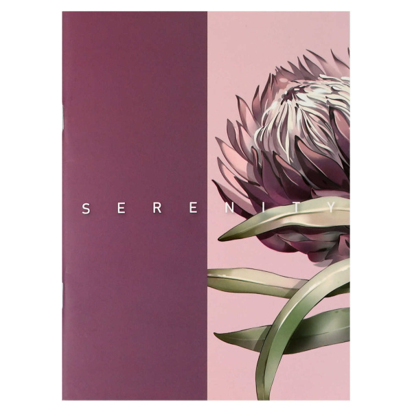 Тетрадь 32л Протея