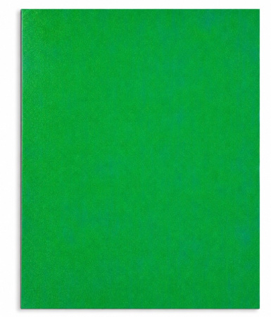Тетрадь 48л Green chameleon, глиттер