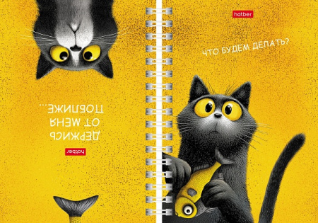 Кн.записная/гребень А6 7БЦ 80л Пушистый философ