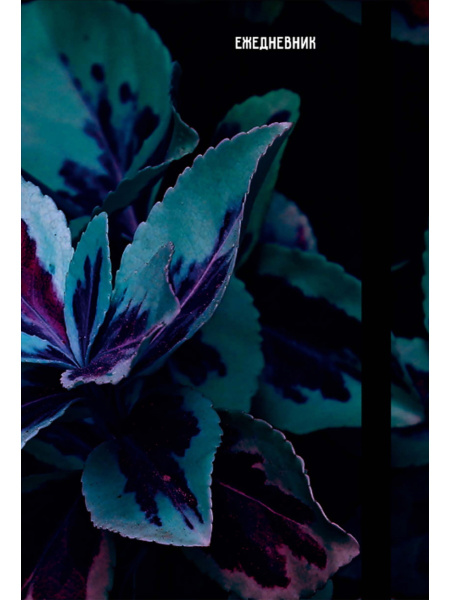 Ежедневник А5 7Бц В тёмных тонах, 128л, резинка