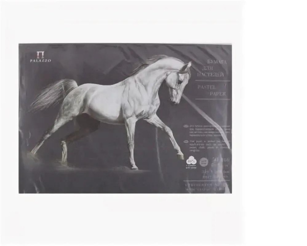 Ватман /пастели 350мм*500мм 160гр Палаццо Ground (черный) 10л