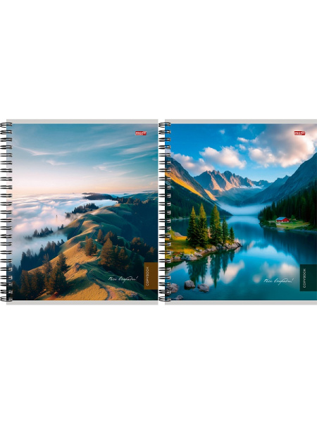 Тетрадь гребень  48л Туманные пейзажи-3