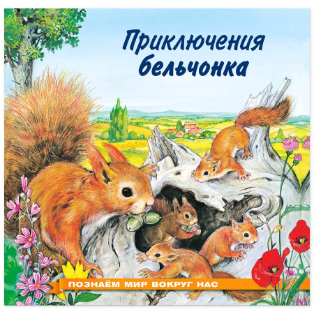 Книжка А5 Приключения бельчонка