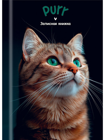 Кн.записная А7 7Бц  48л Зеленоглазый котик-1