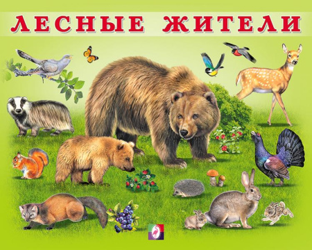 Книжка А5 Учим малыша. Лесные жители