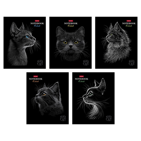 Тетрадь 48л Black Cat
