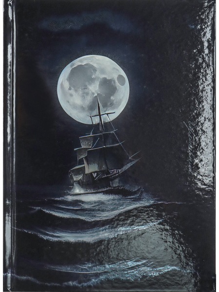 Ежедневник А5 7Бц Корабль и шторм, 80л, фольга