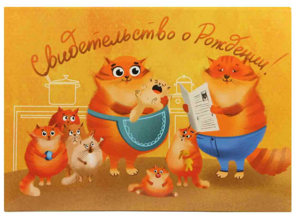 Папка Св-во о рождении А5 Рыжики