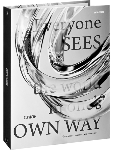 Тетрадь блок/кольцах  80л Взгляд на мир