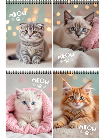 Блокнот/гребень А6 40л Милые котики-12