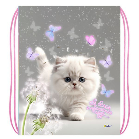 Мешок для обуви Белый котик, 330*420