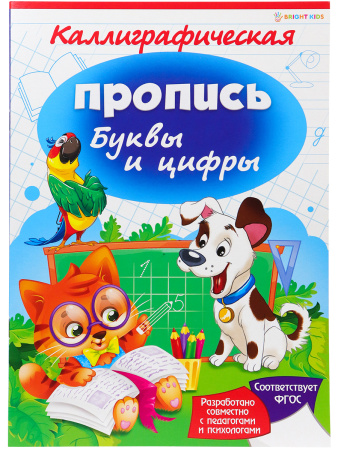 Пропись Каллиграфическая А4. Буквы и цифры