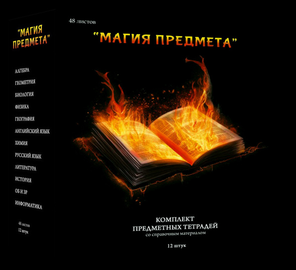 Тетрадь темат. комплект 12предм. 48л Свет знаний, софт-тач