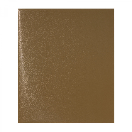 Тетрадь 48л Brown Skin metallic
