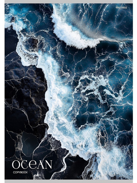 Тетрадь А4  48л Синий океан-1